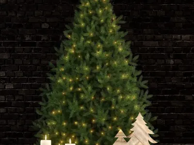 Plants collection 70 christmas tree 3D model