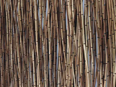 Bamboo low  decor pebble n3 3D model
