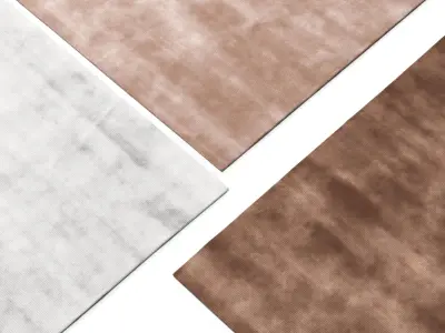 Viscose Rugs 3D model