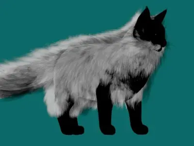 Maine Coon Cat 3D model
