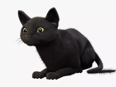 Cat black Rigged Low-poly 3D model