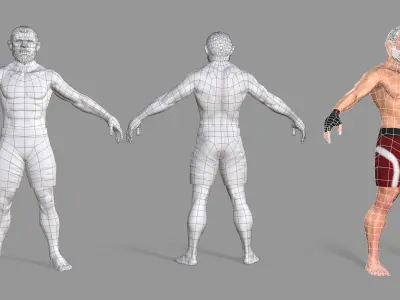 UFC Boxer Low-poly 3D model