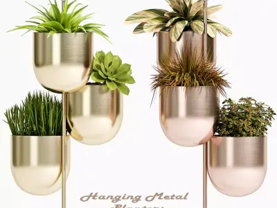 Decorative plant set-72 3D model