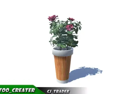 Decorative plant set Red-Flower 3D Model 3D model