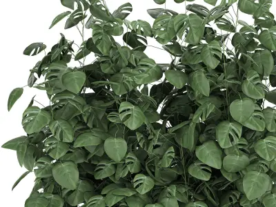 Monstera in a pot for the interior 776 3D model