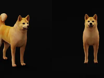 Finnish Spitz Dog Low-poly 3D model