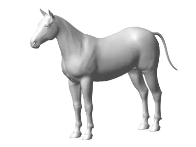horse 3D model 10