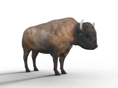 Bison rigged Low-poly 3D model
