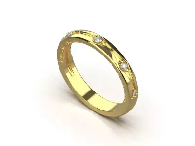 ring code 172 3D print model