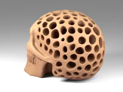 Organic Decorative Skull Figurine 3D print model