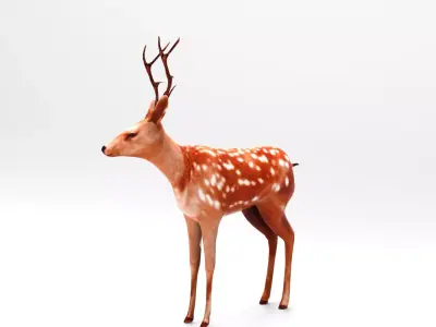 Deer Rigged Low-poly 3D model