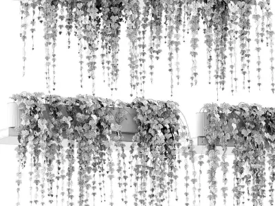 Ivy on the shelves 11 models 3D model