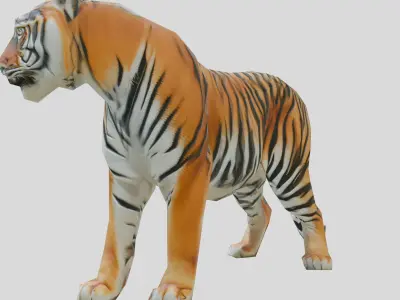 Realistic Bengal Tiger 3D Model with Detailed Textures Low-poly 3D model