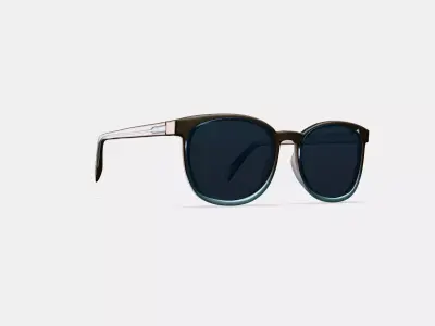 Redding Sunglasses in Ashwood Matte Fade 3D model