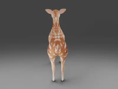 Fawn Deer Rigged V1 Low-poly 3D model