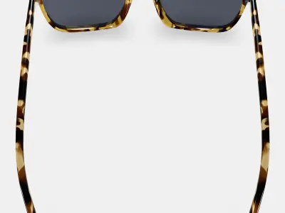 Sutton Sunglasses in Walnut Tortoise 3D model