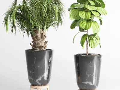 collection Indoor plant 34 -marble vase 3D model