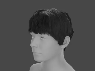 Bowl cut with sideburns Free 3D model