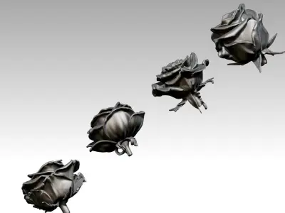 Flower Rose Set of 4 pcs 3D print model