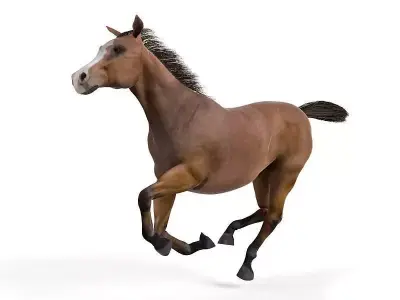 Brown Galloping Horse 3D model