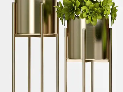 Decorative plant set-55 3D model