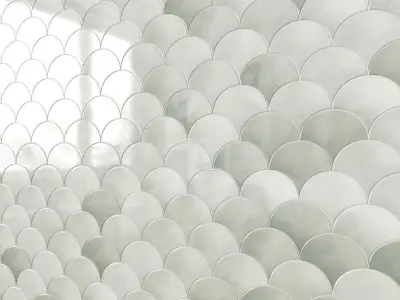 SQUAMA PORC CLOUD ESCAMA 3D model