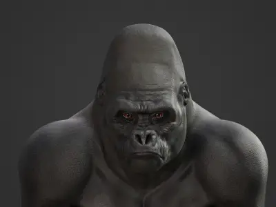 Gorilla animation 3D model