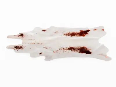 White And Brown Cowhide Animal Rug Fur 3D model