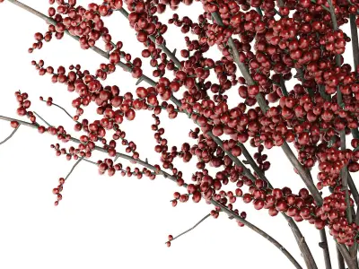 Bouquet of branches with red berries ilex vase 347 3D model