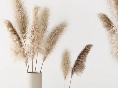 Set of pampas in vase 3D model