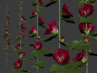 Malva 4 color Low-poly 3D model