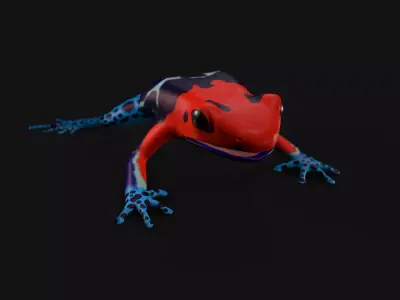 Dart frog Low-poly 3D model