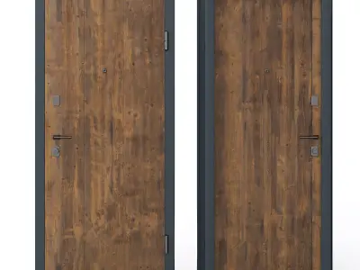 Saleah Door 3D model