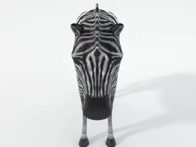 Zebra Low-poly 3D model get
