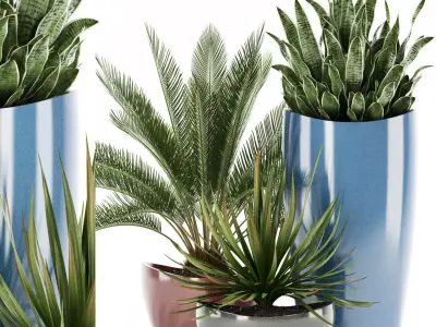 Plants collection 99 Awesomeplanters 3D model