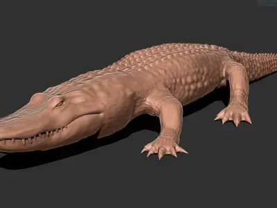 Alligator 3D model