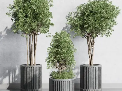  indoor outdoor plant 329 plant tree vase dirty concrete Low-poly 3D model