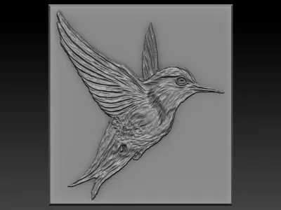 Birdd plastic plate with holes 3D print model