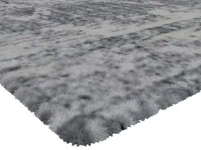 Rug Set 1246 3D model