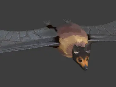Spectacled Flying Fox Mega Bat Fruit Bat Game Ready Model UE 3D model