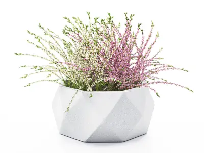 Decorative outdoor plants 3D model