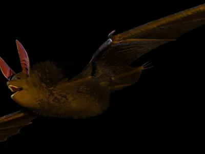 3D Bat model flying 3D model