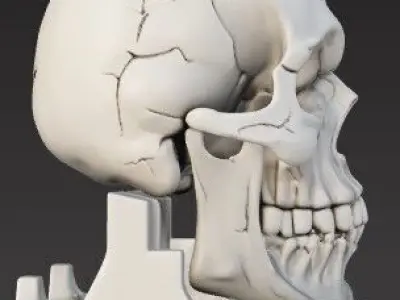 Skull Bookend  Detailed Design for 3D Printing 3D print model