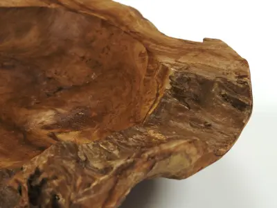 POLYPASTA - wooden bowl teak 01 3D model