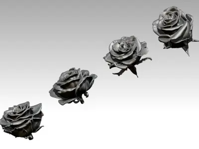 Flower Rose Set of 4 pcs 3D print model