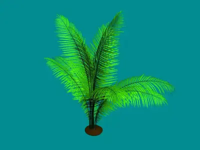 Low Poly Palm Plant - Tropical Decor Model Low-poly 3D model