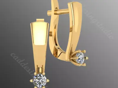 akr Earrings  3D print model