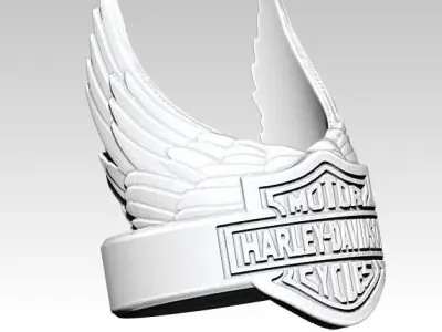 Biker Ring 3D print model