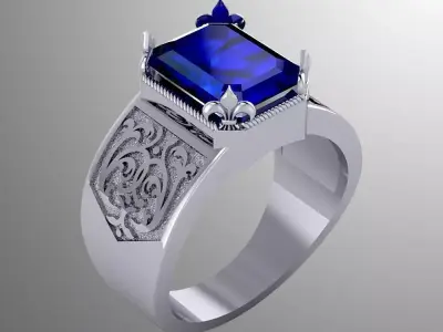 Ring dp 22 3D print model