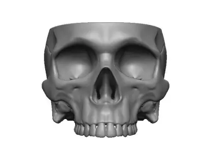 Skull box  Free 3D print model